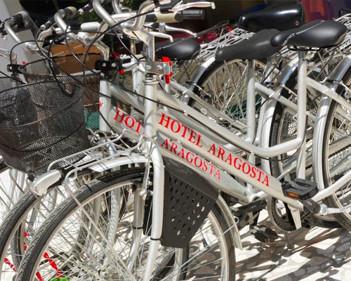 Bici messe a disposizione dall'hotel