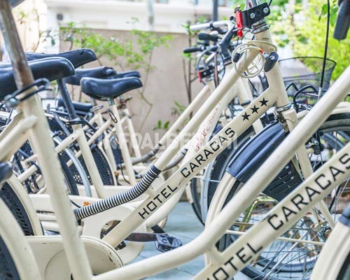 Biciclette a vostra disposizione