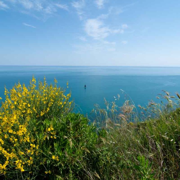 Una visita sul Monte San Bartolo, tra natura e borghi