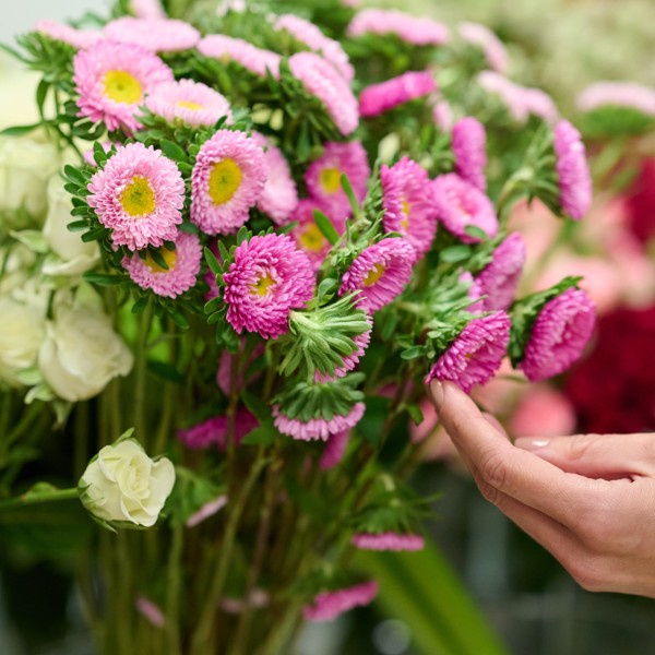 Speciale ponte di primavera: Cattolica in fiore 2023