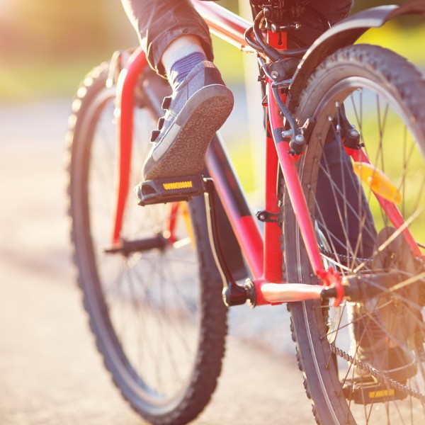 I bike tour da fare con i tuoi bambini nei dintorni di Cattolica