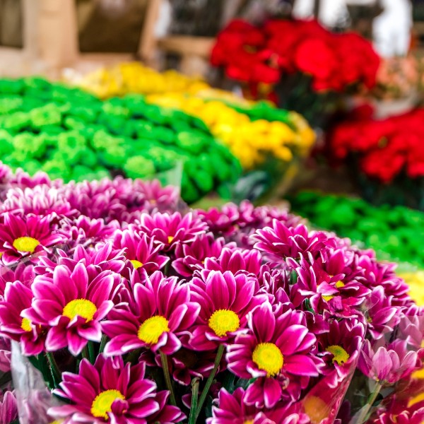 Eventi di Primavera a Cattolica